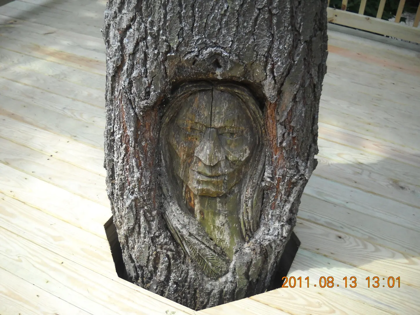 A tree with a face carved into it